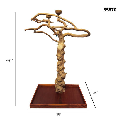 A&E B5870 large Java wood tree playstand dimensions and specifications