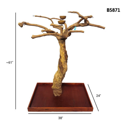 A&E B5871 large Java wood tree playstand dimensions and specifications