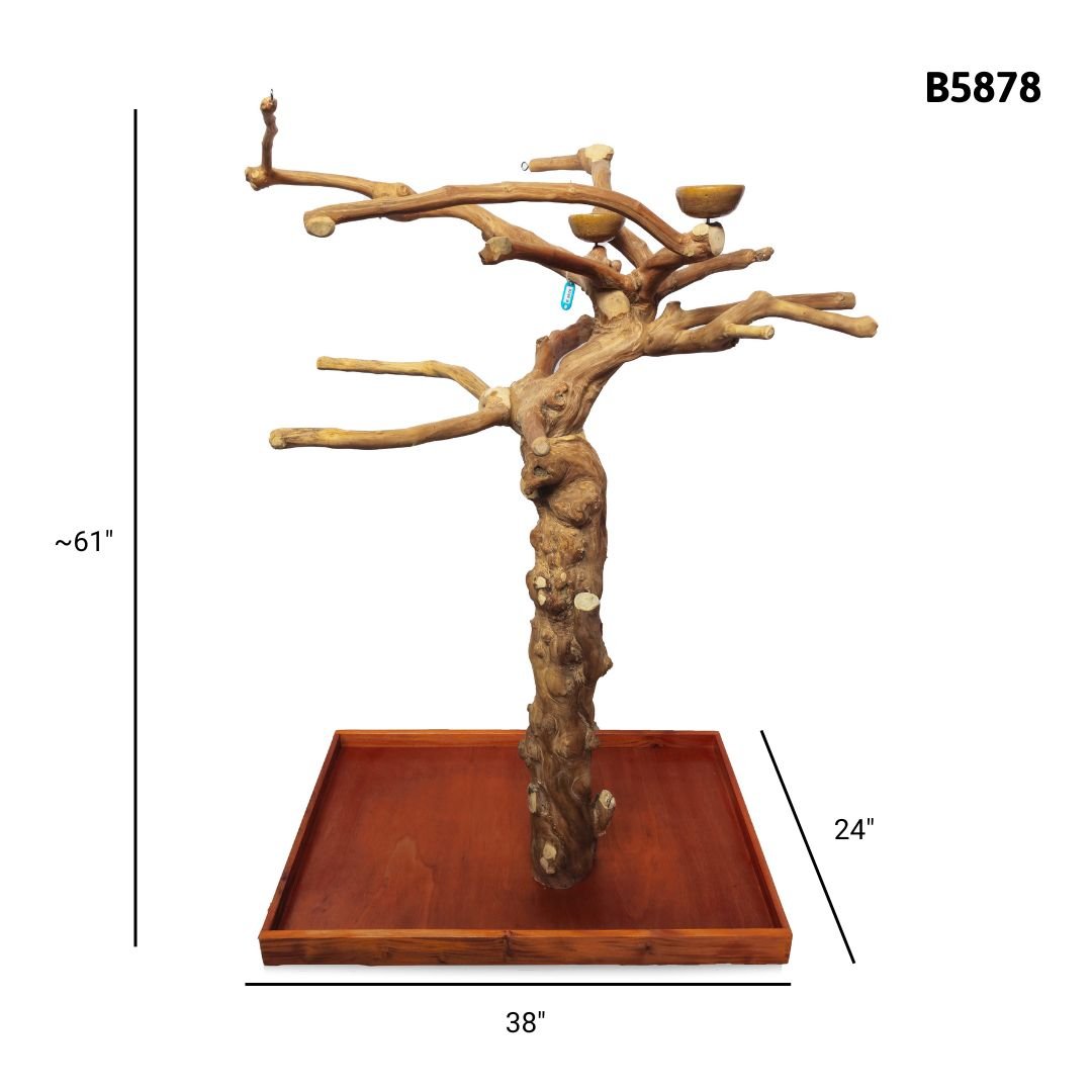 A&E B5878 large Java wood tree playstand dimensions and specifications