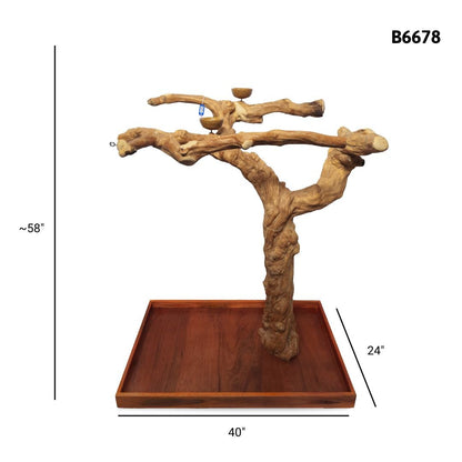 A&E B6678 large Java wood tree playstand dimensions and specifications