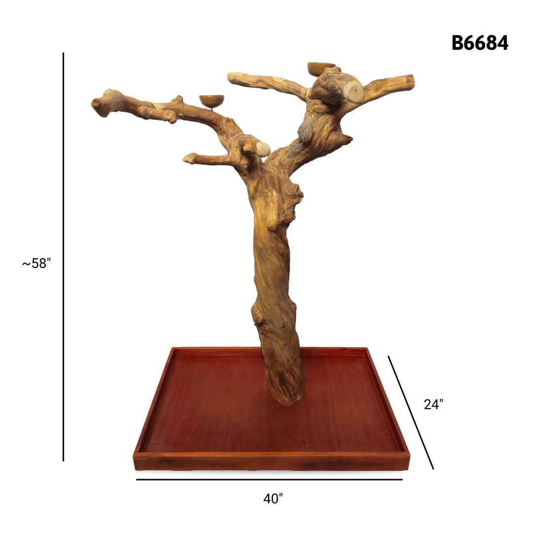 A&E B6684 large Java wood tree playstand dimensions and specifications