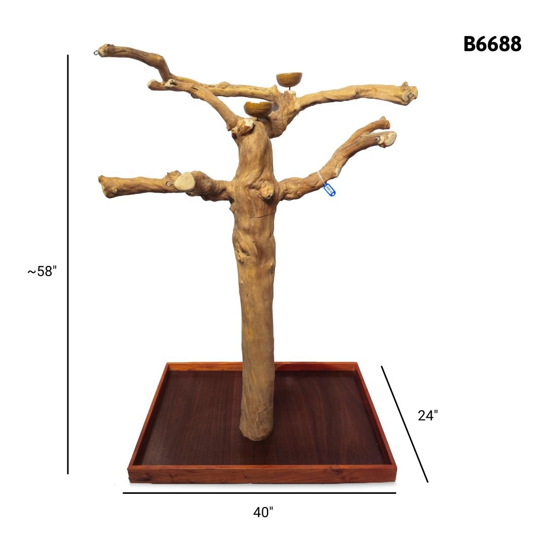 A&E B6688 large Java wood tree playstand dimensions and specifications