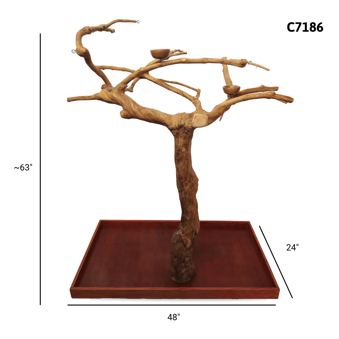 A&E C7186 large Java wood tree playstand dimensions and specifications