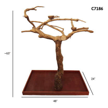 A&E C7186 large Java wood tree playstand dimensions and specifications
