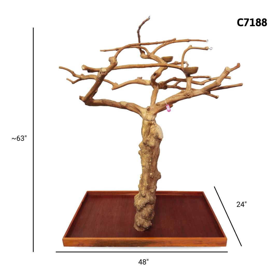 A&E C7188 large Java wood tree playstand dimensions and specifications