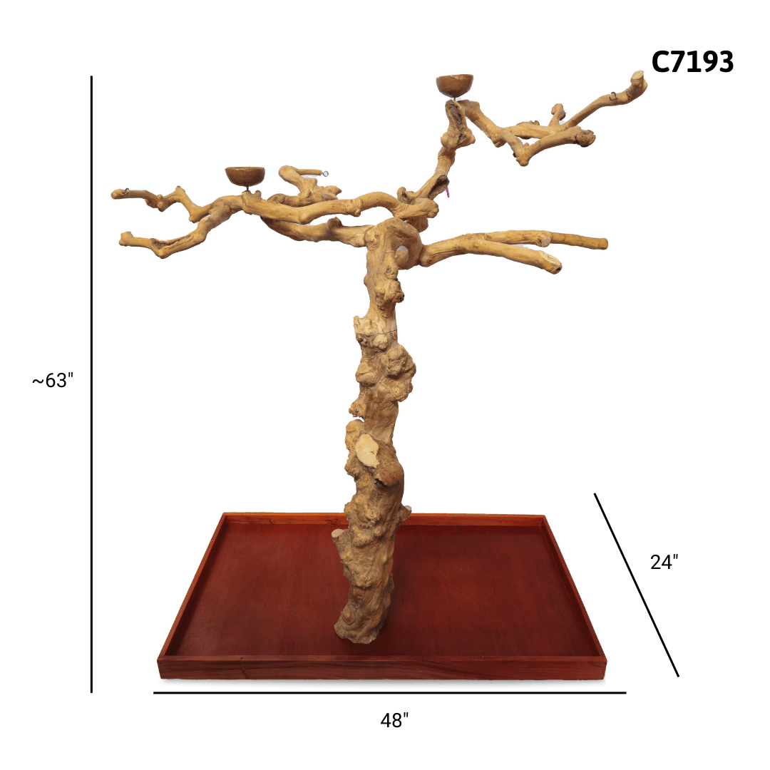 A&E C7193 large Java wood tree playstand dimensions and specifications