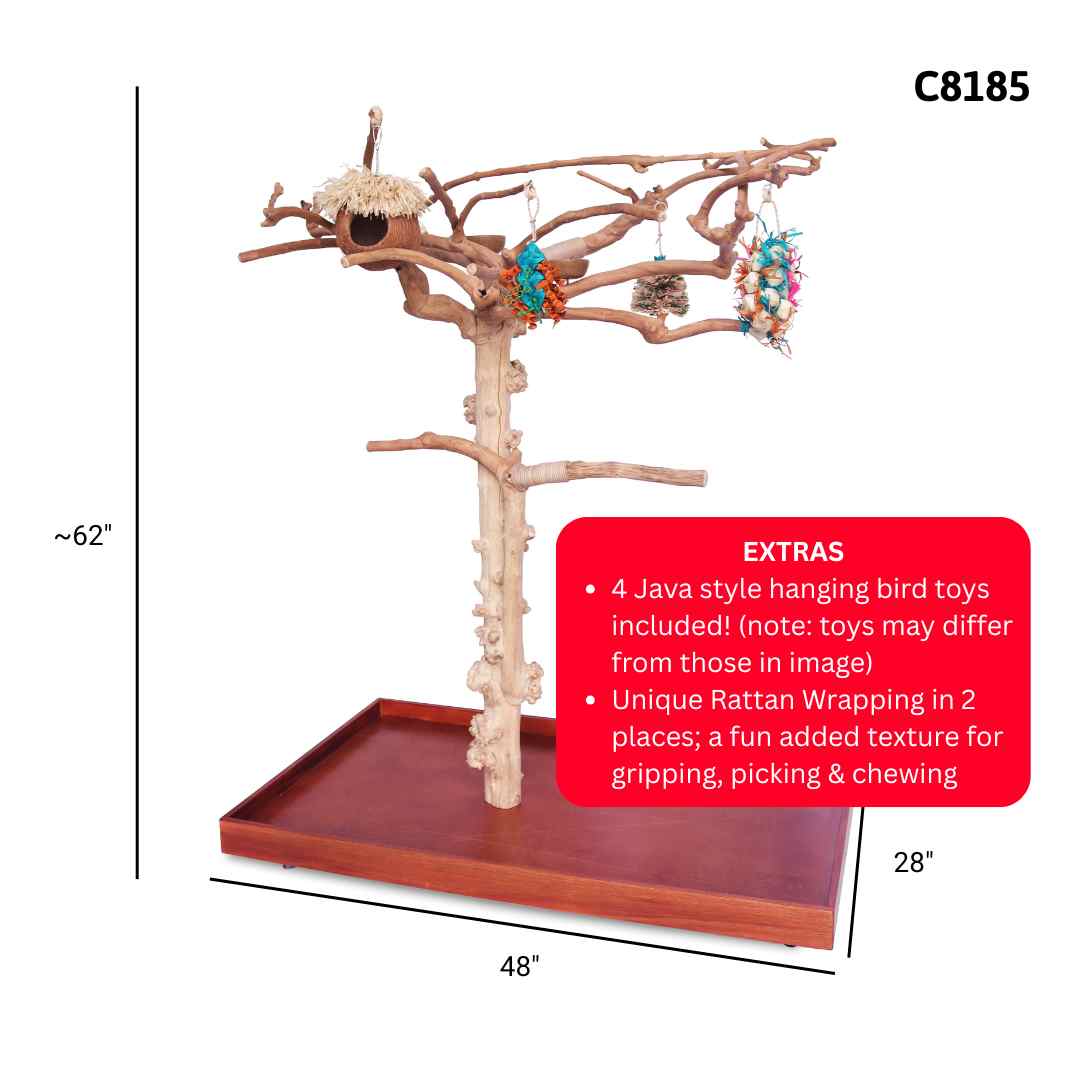 Natural java wood parrot tree stand with unique climbing branches and sturdy base – Tree ID C8185