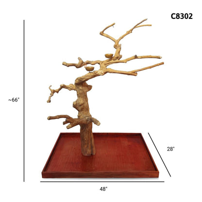 A&E C8302 large Java wood tree playstand dimensions and specifications