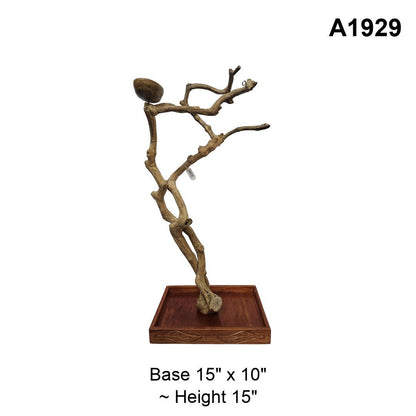 Java Wood Tabletop Playstand | Choose Your Exact Tree