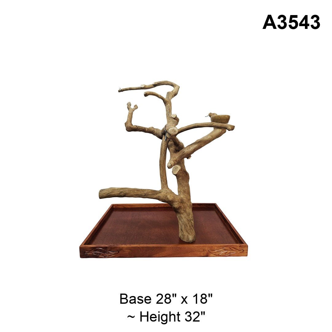 Java wood playstand A3543, upright trunk with short branches, base 28 by 18 inches, about 32 inches tall