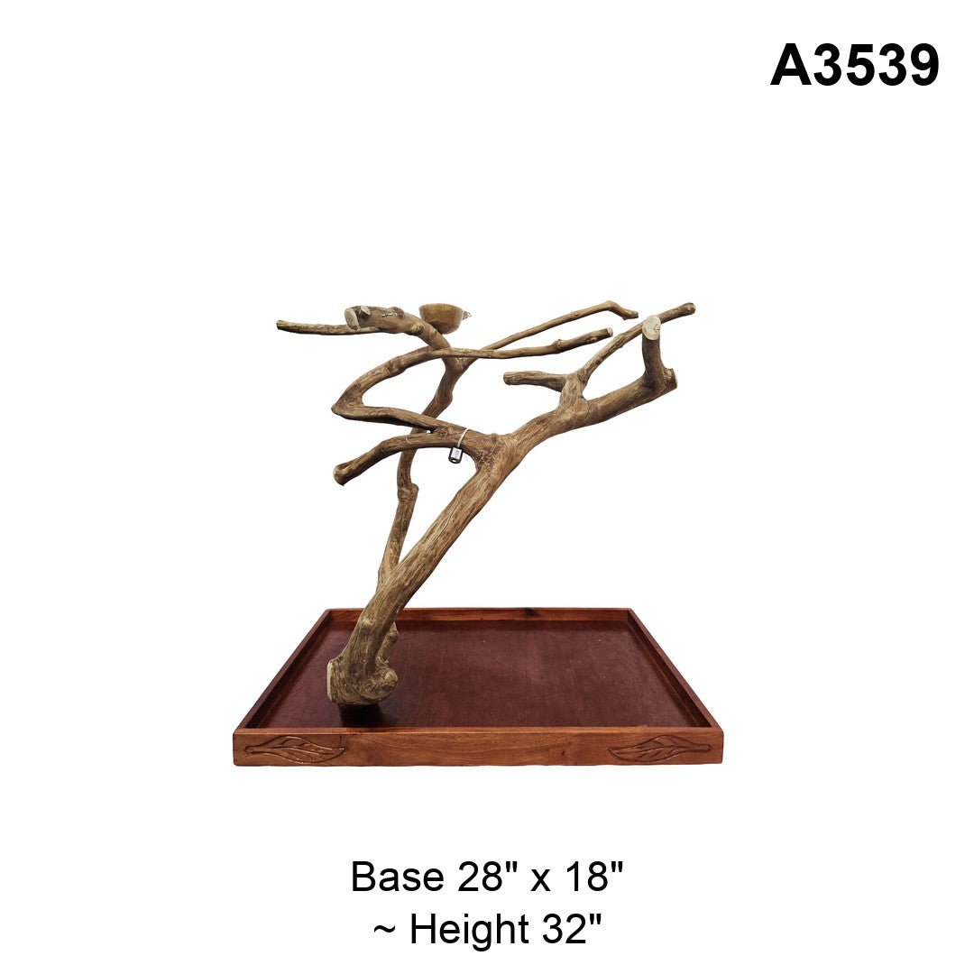 Java wood playstand A3539, angled trunk with a fan of branches, base 28 by 18 inches, about 32 inches tall