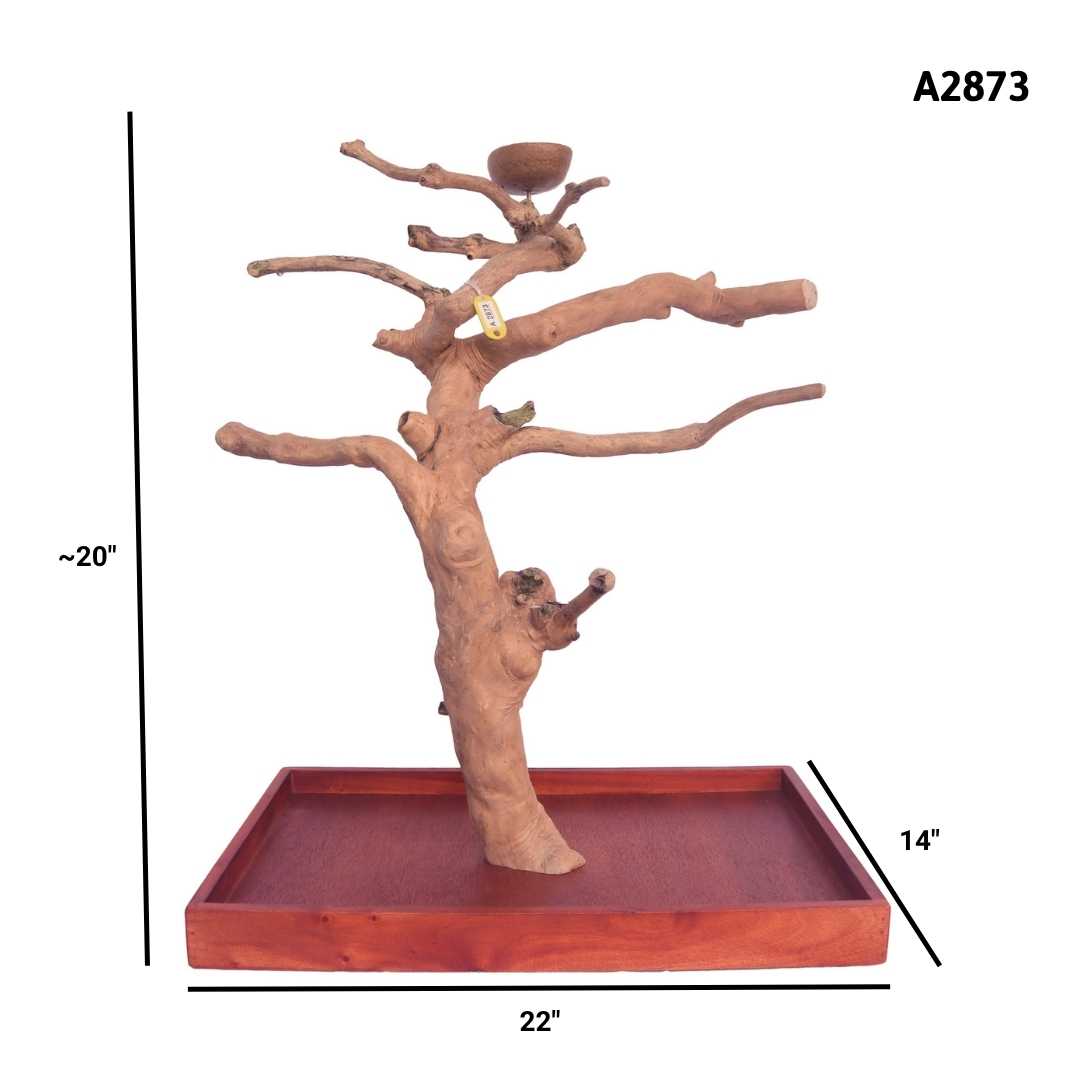 Java Wood Tabletop Playstand | Choose Your Exact Tree