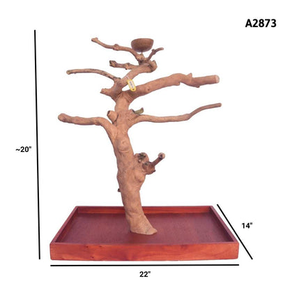 Java Wood Tabletop Playstand | Choose Your Exact Tree
