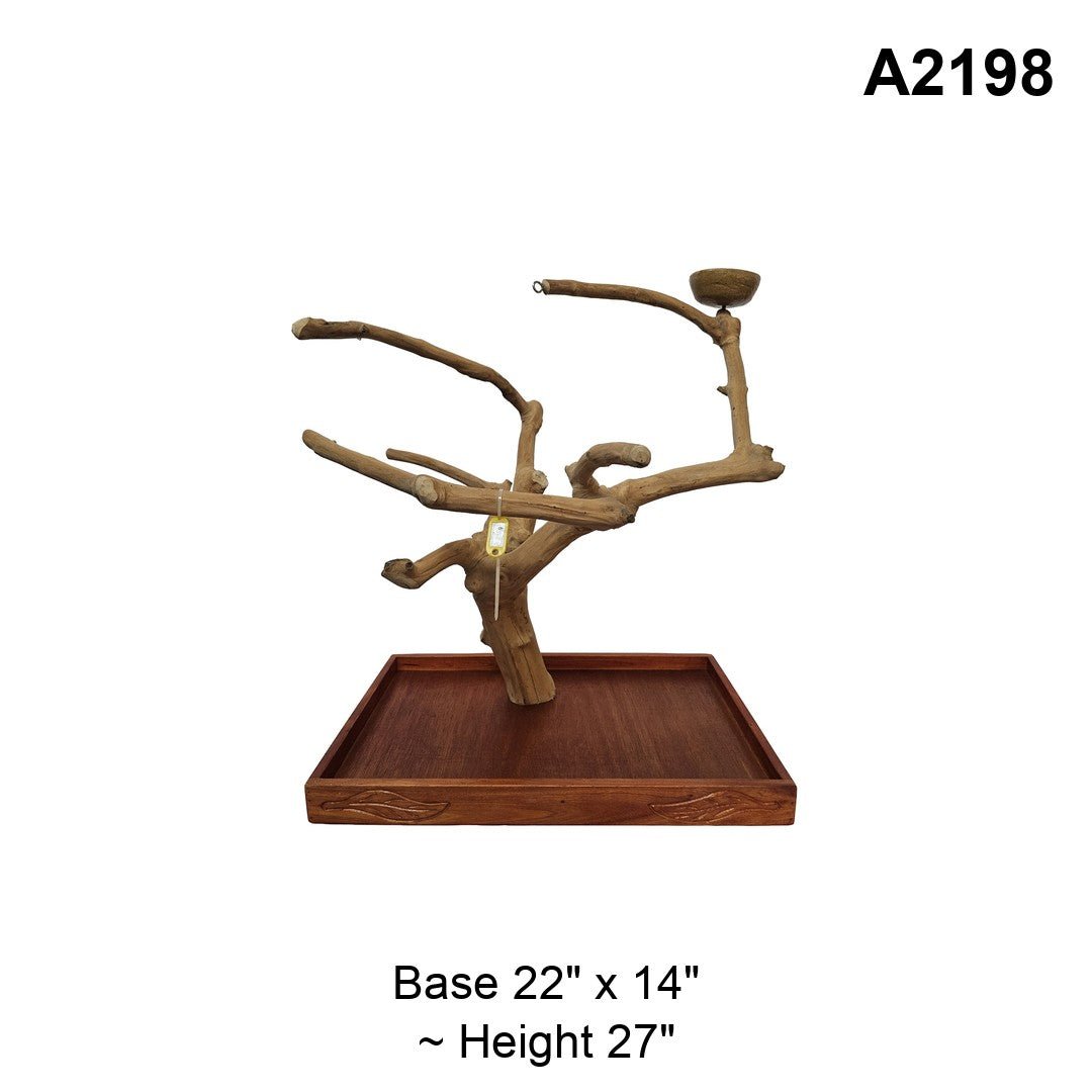 Java Wood Tabletop Playstand | Choose Your Exact Tree