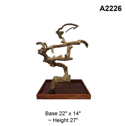 Java Wood Tabletop Playstand | Choose Your Exact Tree