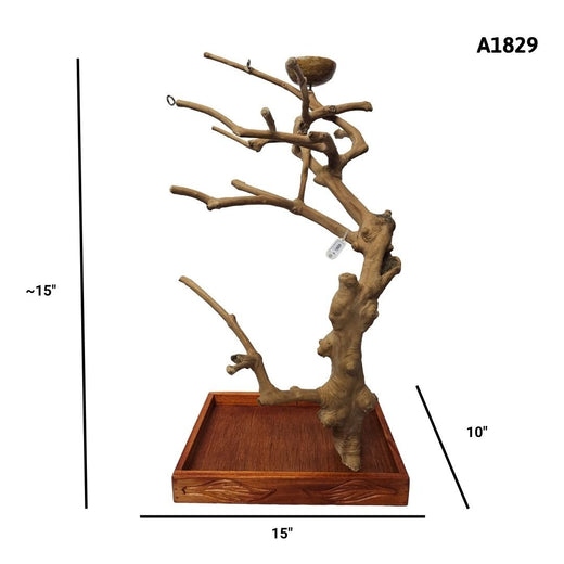 Squawk Shop Java Tree A1829