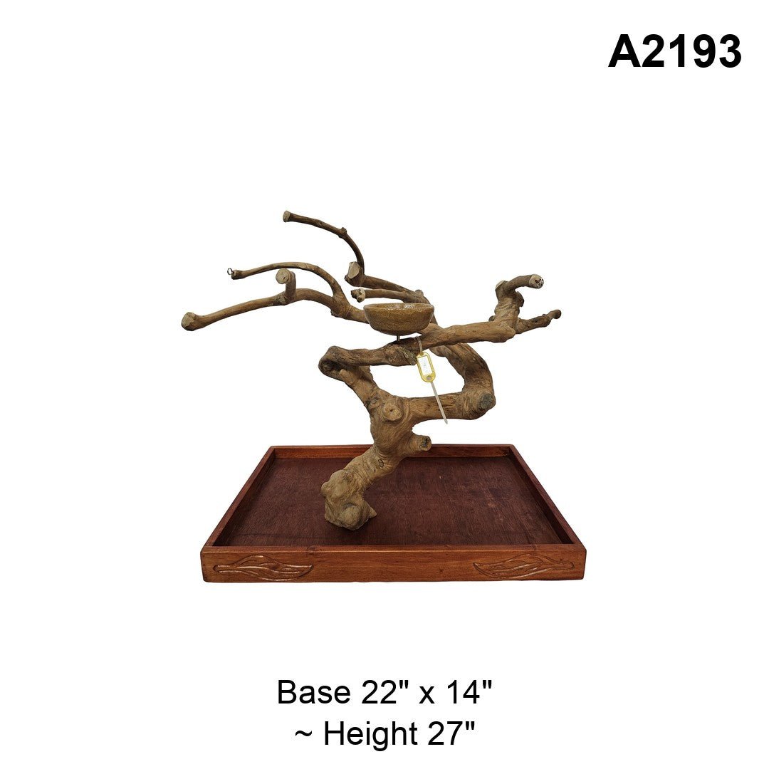 Java Wood Tabletop Playstand | Choose Your Exact Tree