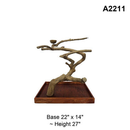 Java Wood Tabletop Playstand | Choose Your Exact Tree