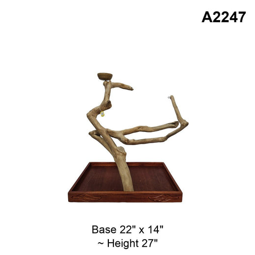 Squawk Shop Java Tree A2247