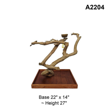 Java Wood Tabletop Playstand | Choose Your Exact Tree