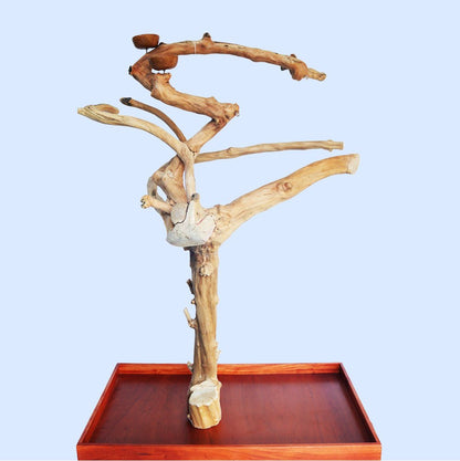 Squawk Shop Large Java Wood Parrot Playstand with 38" x 24" base and natural branches—ideal for climbing, perching, and enriching bird play.