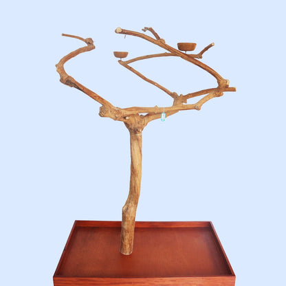 Squawk Shops large, handcrafted wooden play stand resembling a tree with multiple branches, placed on a flat surface.