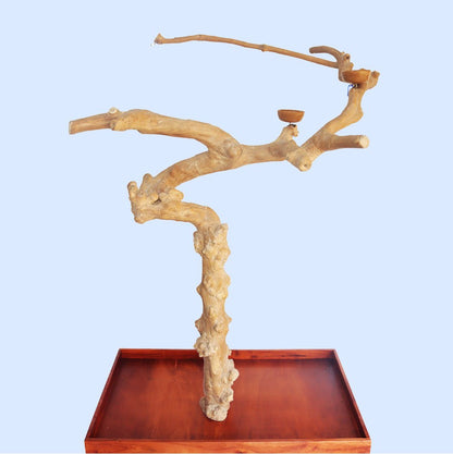 Squawk Shop natural java wood bird playstand with multi-branch perches, feeder cup, and red wooden catch tray