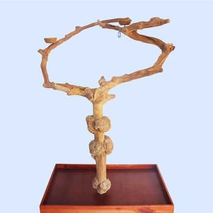Squawk Shop large, handcrafted wooden play stand resembling a tree with multiple branches, placed on a wooden platform.