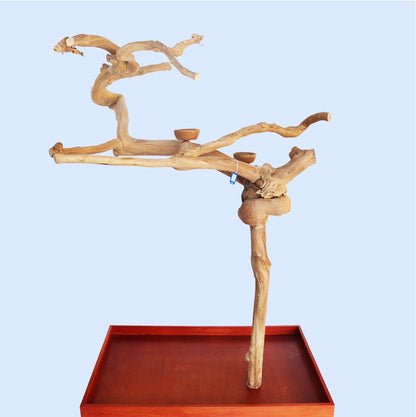 Squawk Shop Large Java Tree play stand for parrots, made of Java wood with intricate twisted branches, perched on a wooden platform.