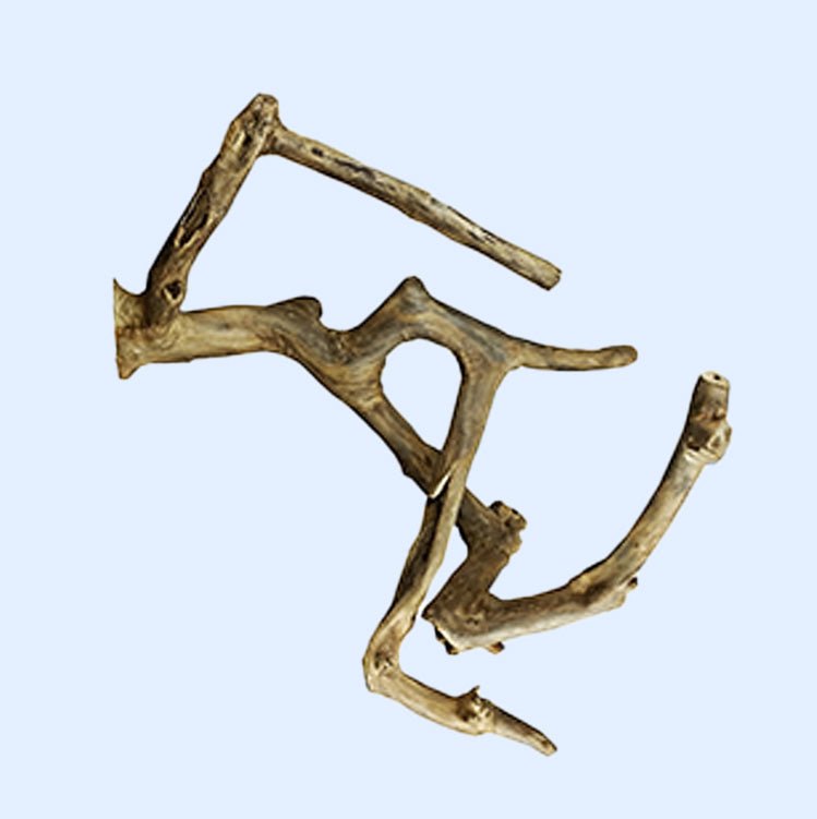 A Medium Multi-Branch Perch from Squawk Shop, made of natural hardwood with multiple textured branches, designed to support bird foot health and exercise.
