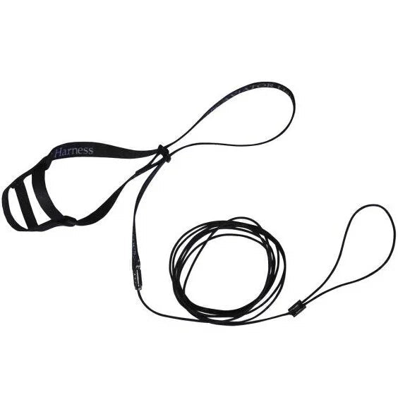 Black leash with a handle on a white background