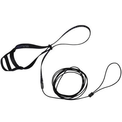 Black leash with a handle on a white background